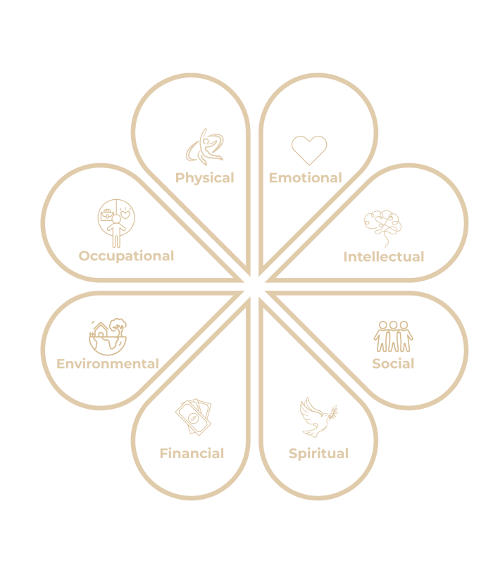 Dimension (5) updated